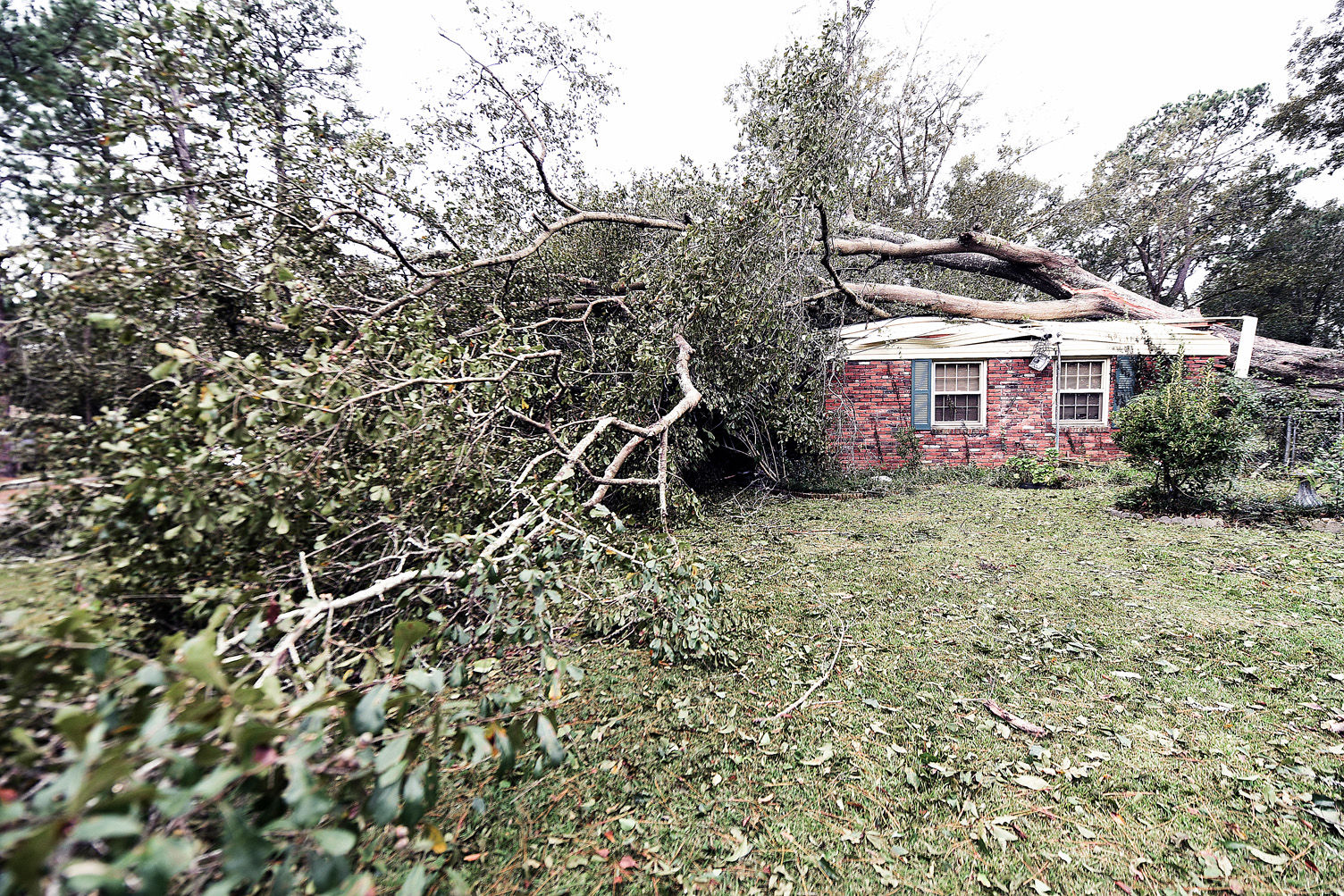 Hurricane Michael aftermath